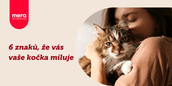 6 znaků, že vás vaše kočka miluje
