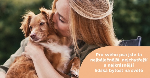 6 znamení, že vás váš pes miluje 