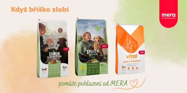 Trávicí potíže a potravinové alergie u psů: Na co si dát pozor a co opravdu pomáhá