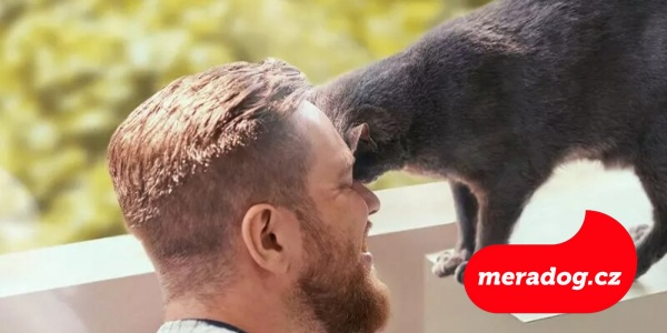 Jak dobrý je váš vztah s kočkou?