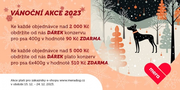 Vánoční akce 2023 a provozní doba na konci roku