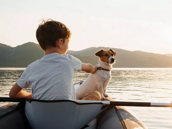 Pes a dítě – tipy a pravidla