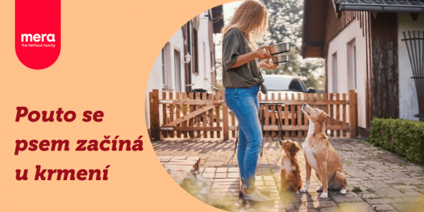 Prohlubujte své pouto s vaším psem prostřednictvím krmení 