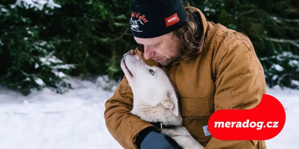 Péče o psa v zimě: Kompletní průvodce pro zdraví a pohodu