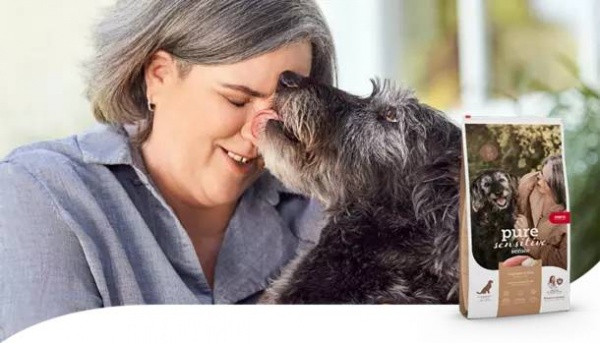 Stáří psů: Jak rozpoznat stárnutí a jak o seniorského psa správně pečovat