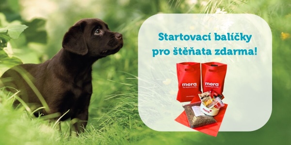 Partnerství pro nejlepší start: Naše startovací balíčky pro vaše odchovy