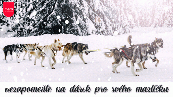 Vánoční akce a pracovní doba o svátcích