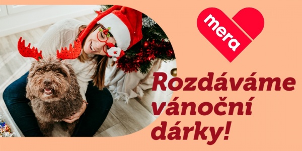 Vánoční akce 2024 a otevírací doba o svátcích