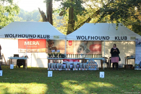 Klubová výstava WDK 2025