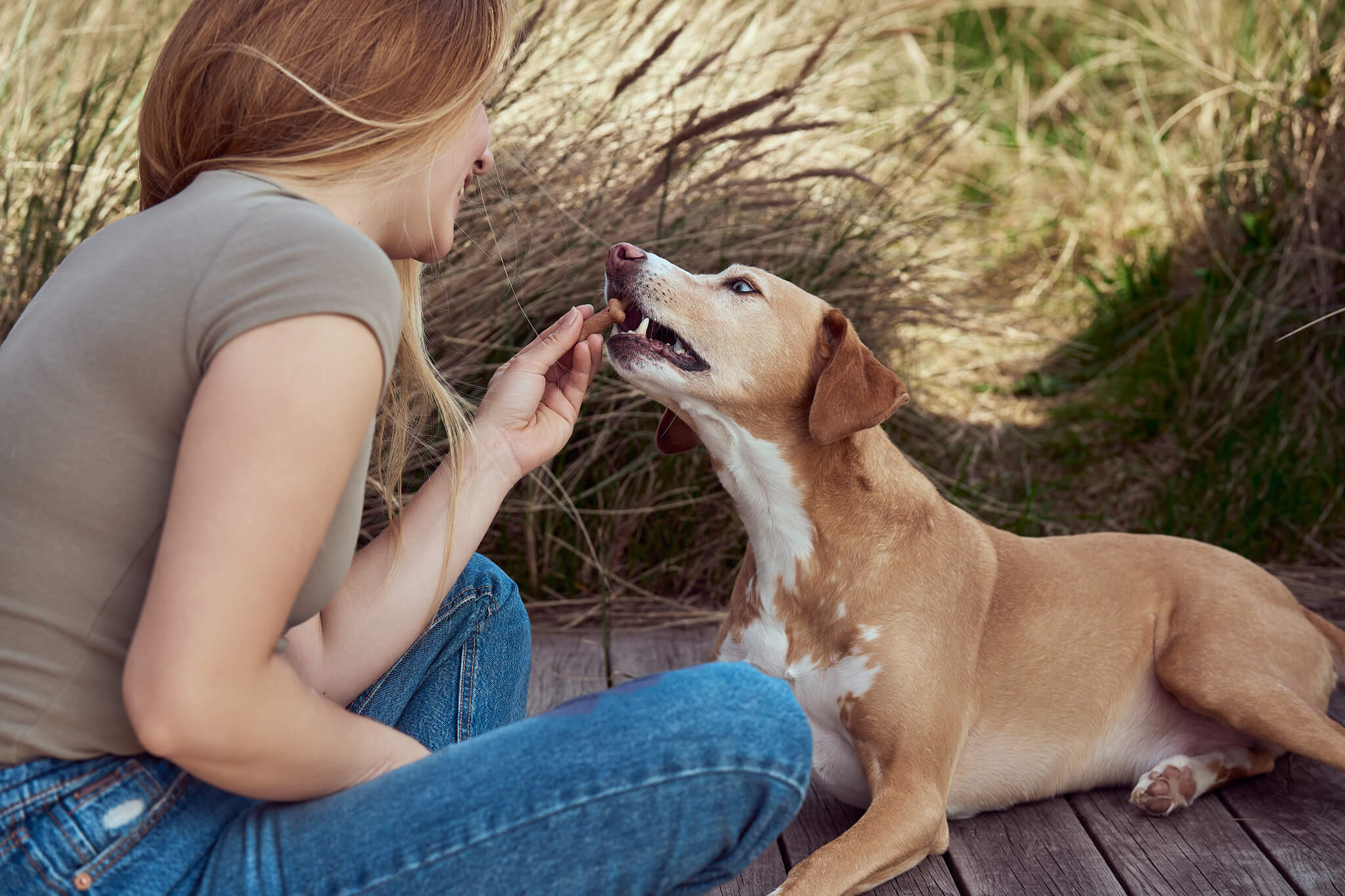 Pes si pochutnává venku s paničkou