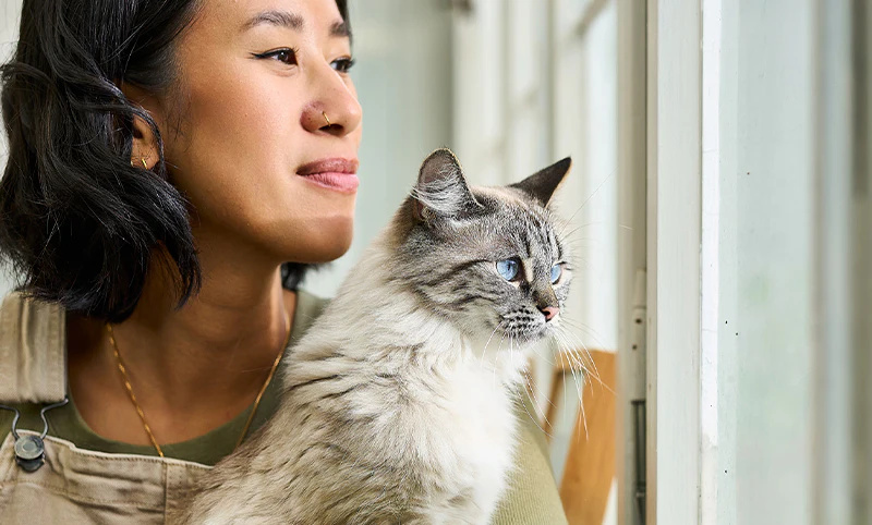 Krmivo pro kočky Mera Cats Nature