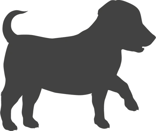 Dokonale přizpůsobeno potřebám juniorů