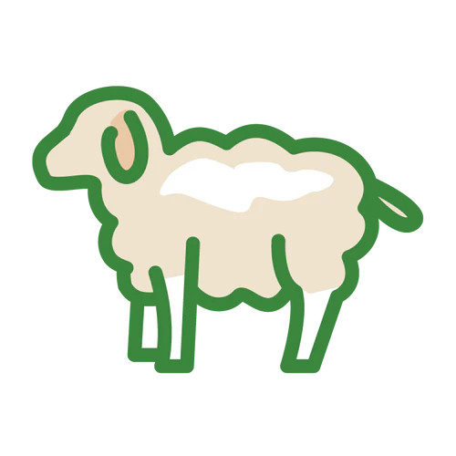 S velkým množstvím čerstvého jehněčího masa