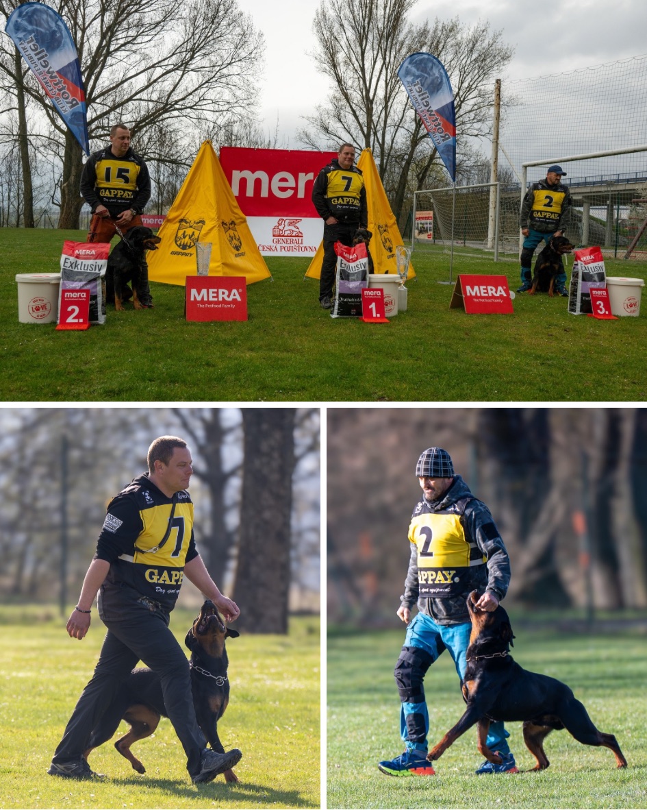 Mistrovství republiky RKČR 2026