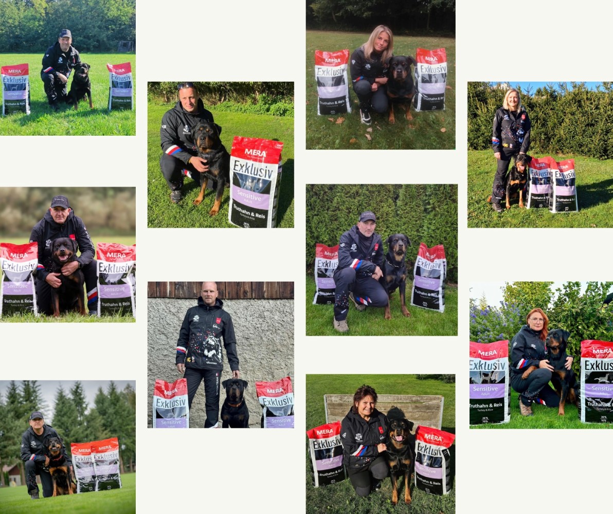 česká reprezentace